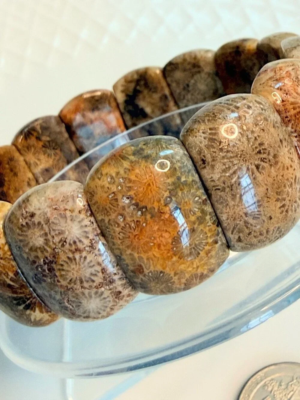 The Grown-Up Kaleidoscope | Natural Fossil Coral Unisex Bracelet